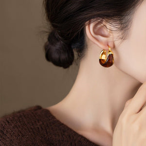 1 Pair Women's Amber Earrings French Style, High - End, Light Luxury & Vintage Ear Clips Niche, Elegant Maillard Ear Jewelry - Zambeel