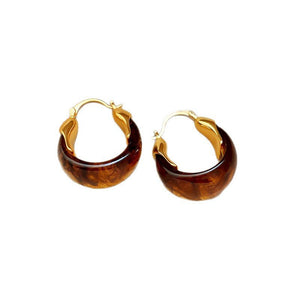 1 Pair Women's Amber Earrings French Style, High - End, Light Luxury & Vintage Ear Clips Niche, Elegant Maillard Ear Jewelry - Zambeel