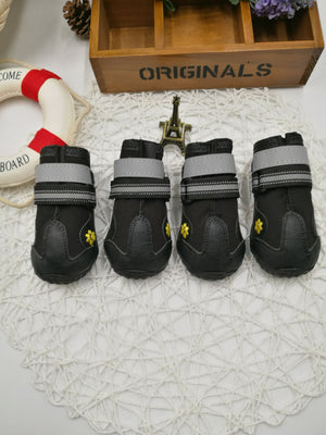 product_img