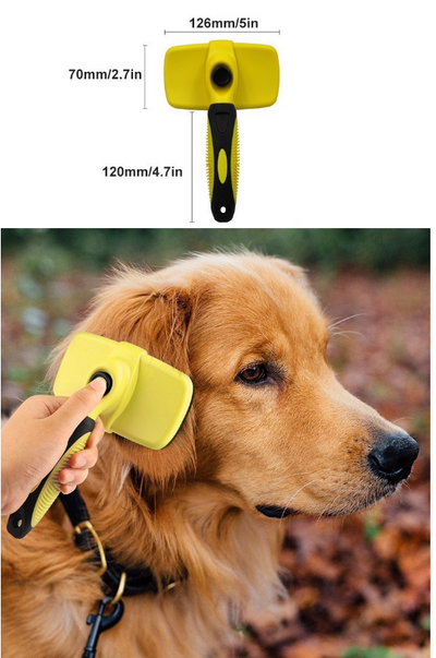 product_img