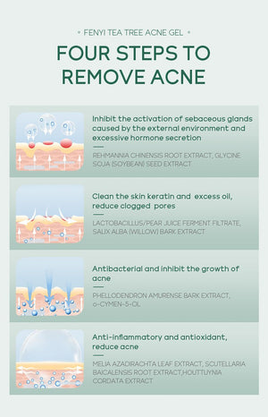 20g Moisturizing Skin Care Products - Zambeel