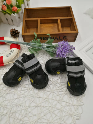 product_img