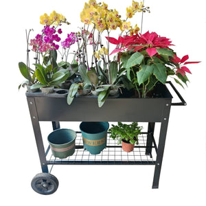 product_img
