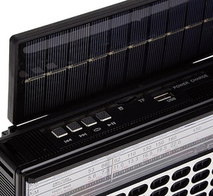 3 - Band Radio - Zambeel