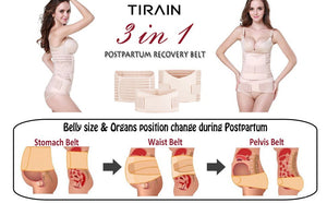 3-in-1 Abdominal & Back Support Belt - Zambeel