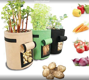 product_img