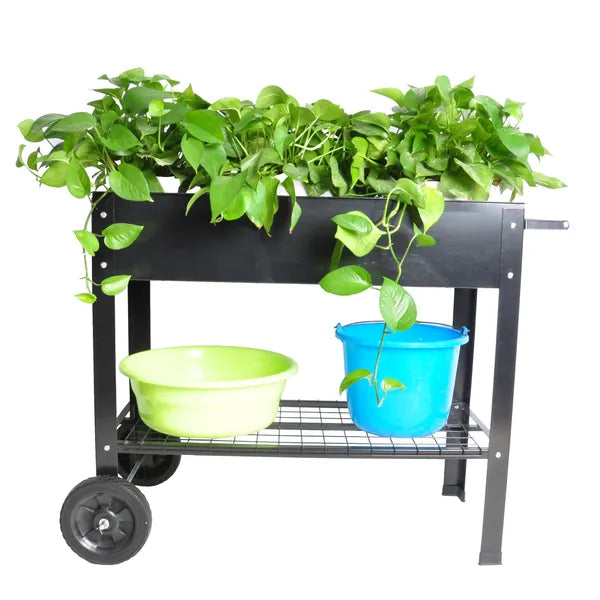 product_img