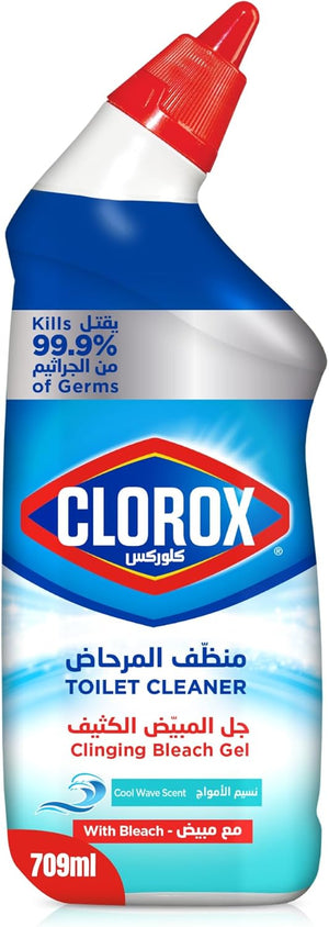 Clorox Toilet Bowl Cleaner-1.jpg