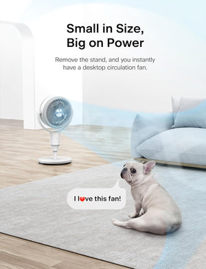 F1 Air Circulation Fan-9.jpg
