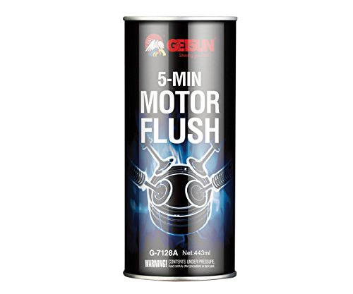 G-SUN Motor Flush Cleaner-3.jpg