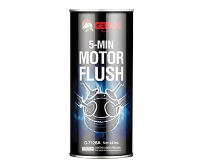 G-SUN Motor Flush Cleaner-3.jpg
