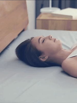 Cushion Back Support Pillow