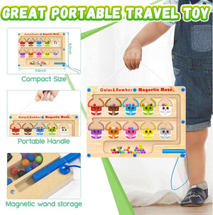 Magnetic Bead Counting Maze-3.jpg