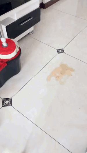 ممسحة تنظيف دوارة 360 درجة