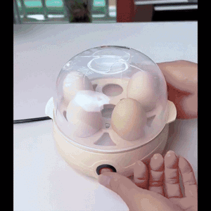 طباخ البيض متعدد الوظائف