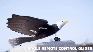 نسر RC للأطفال