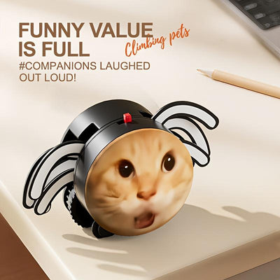 product_img