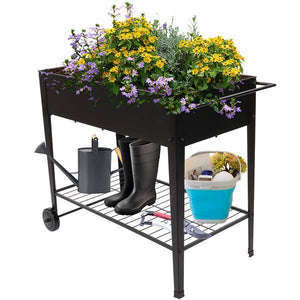 product_img