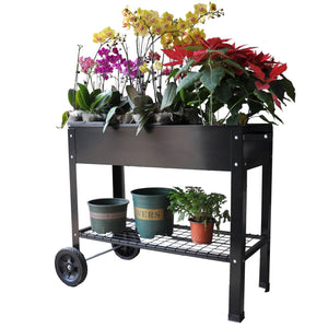 product_img