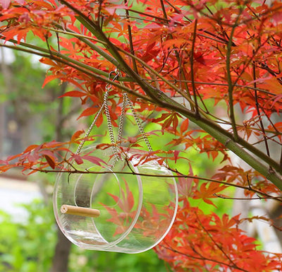 Acrylic Bird Food Box - Zambeel