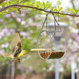 Acrylic Bird Food Box - Zambeel