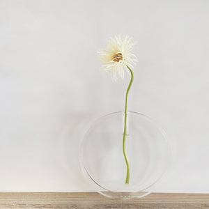 Acrylic Transparent Test Tube Vase Simple Decoration Ornaments - Zambeel