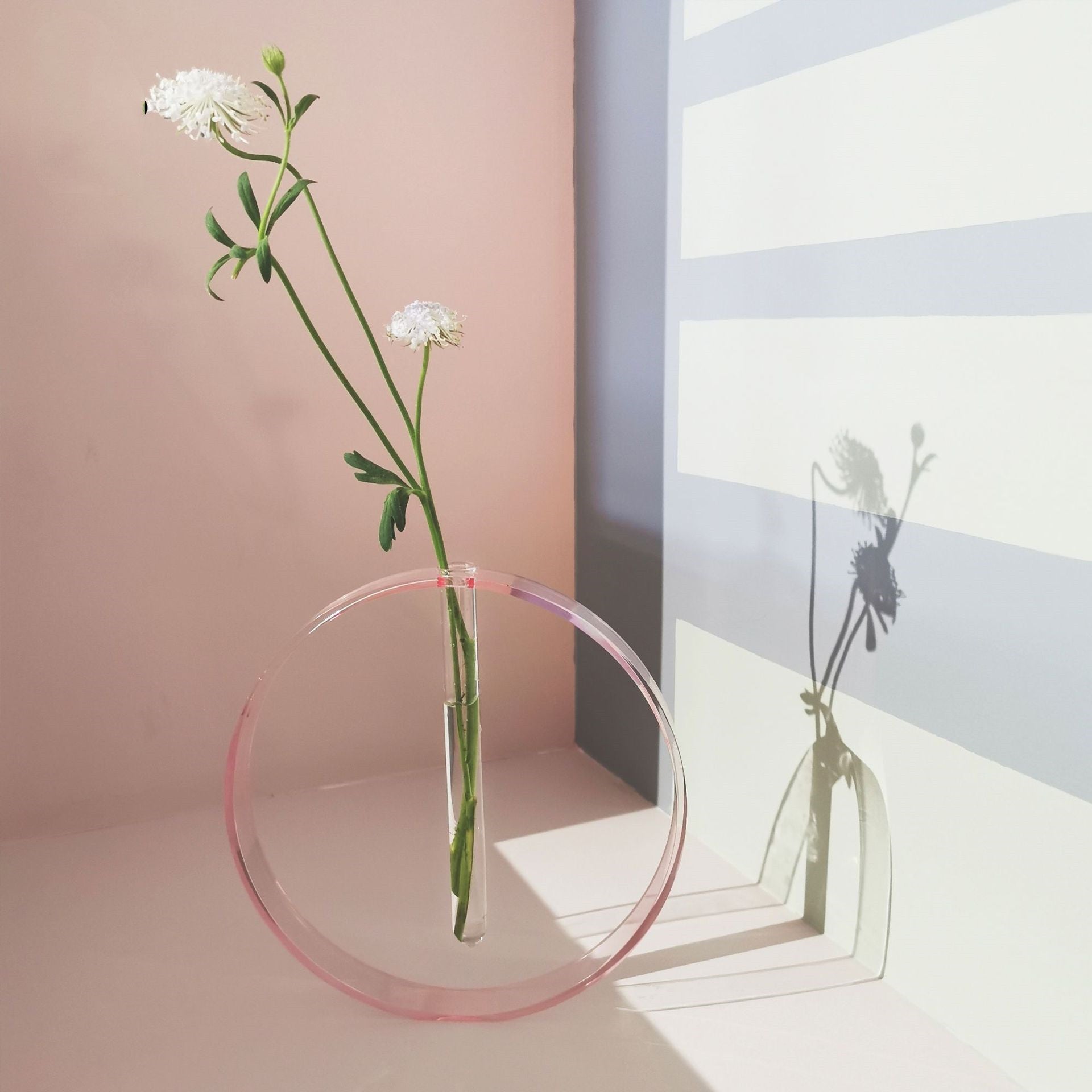 Acrylic Transparent Test Tube Vase Simple Decoration Ornaments - Zambeel