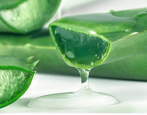 Aloe Gel Skin Care Moisturizing Face Cream - Zambeel