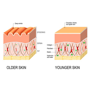 Anti - wrinkle Fine Line - fading Lifting And Firming Skin Care - Zambeel