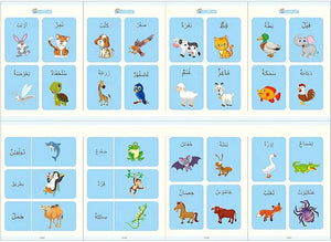 Arabic Magic Book - Zambeel