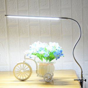 Bedside Reading Work Desk Lamp Clip - Zambeel