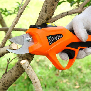 Branch Scissors - Zambeel