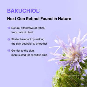By Wishtrend - Vitamin A - mazing Bakuchiol Night Cream (Original) - Zambeel