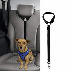 Car Backseat Pet Leash For Stability - Zambeel