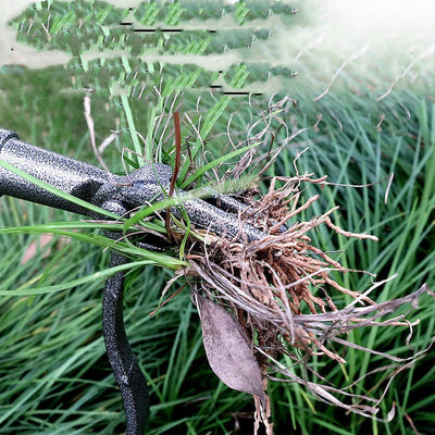 Carbon Steel Garden Weeding And Rooting Machine - Zambeel