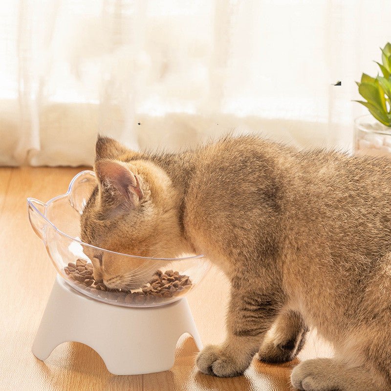 Cat Bowl Dog Bowl Cat Single Bowl Non - slip Cat Bowl Oblique Mouth - Zambeel