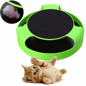 Cat Catch - Zambeel