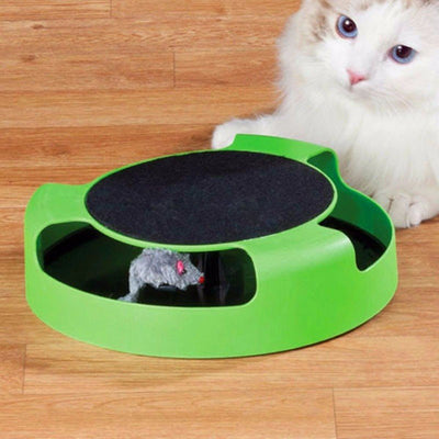 Cat Catch - Zambeel