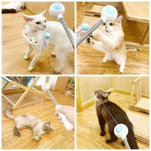 Cat Teaser Stick, Retractable Cat Wand With Replacement Head, Cat Feather Toy, Cat Interactive Toy For Indoor Cats For Relief Boredom And Exercise - Zambeel