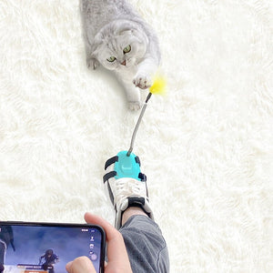 Cat Toy Funny Cat Stick with Strong Feathers - Zambeel