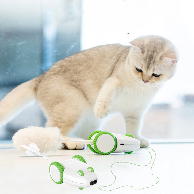 Cat Toys Anti - boring Artifact Automatic Funny Stick Replacement Head Feather Pet Products - Zambeel