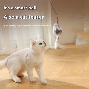 Cat Toys Mouse Teaser Ball Funny Moving Toy For Pets Cat Dog Electric Teaser Ball Automatic Intelligent Rolling Ball Pet Products - Zambeel