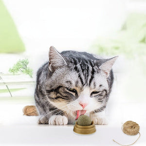Catnip Balls Cat Treats Rotary Molar Teeth Cleaning - Zambeel