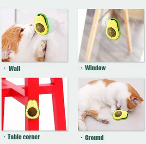 Catnip Lick Ball Toy - Zambeel