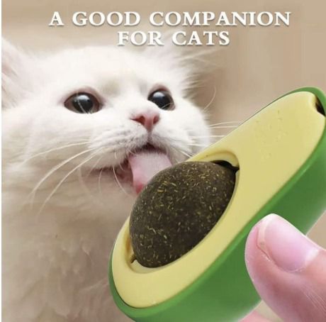 Catnip Lick Ball Toy - Zambeel