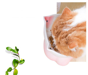Ceramic Cat Bowl Cats Protect Cervical Vertebrae - Zambeel