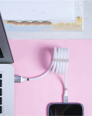 Compatible With Apple , Magnetic Absorption Nano Data Line - Zambeel