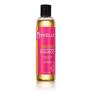 Conditioning Shampoo For Hairs (240ml) - Zambeel