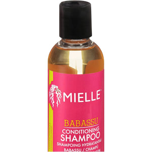 Conditioning Shampoo For Hairs (240ml) - Zambeel
