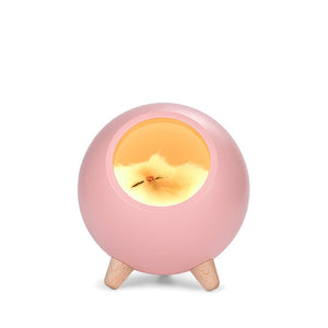 Creative Cute Cat House Atmosphere Table Lamp - Zambeel